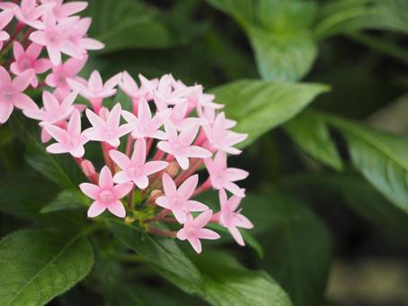 今日のかめら(*^^*)