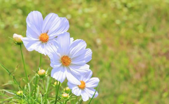 今日のかめら(*^^*)
