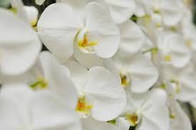 今日のかめら(*^^*)