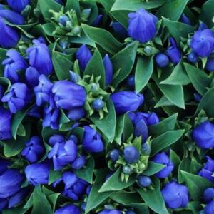 今日のかめら(*^^*)