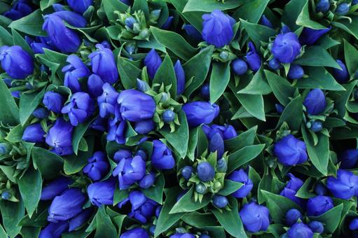 今日のかめら(*^^*)