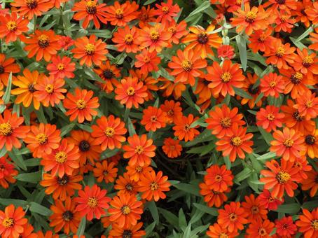 今日のかめら(*^^*)