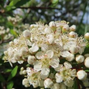 今日のかめら(*^^*)