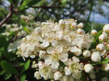 今日のかめら(*^^*)