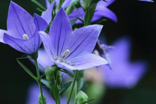 今日のかめら(*^^*)