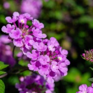 今日のかめら(*^^*)