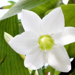 今日のかめら(*^^*)