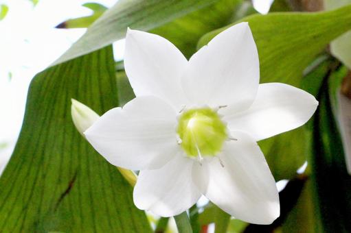 今日のかめら(*^^*)