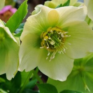 今日のかめら(*^^*)