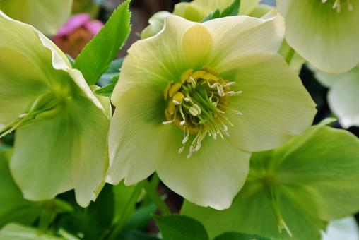 今日のかめら(*^^*)