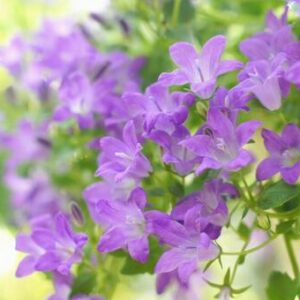 今日のかめら(*^^*)