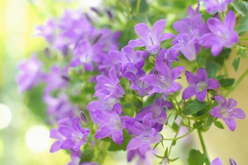 今日のかめら(*^^*)