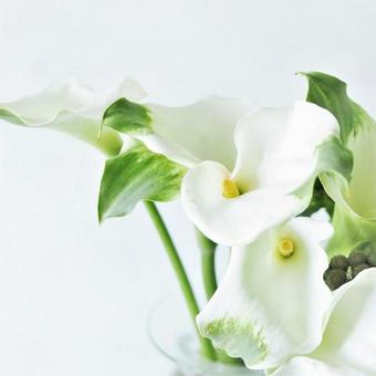 クリスマスおゆうぎ会＼(^o^)／