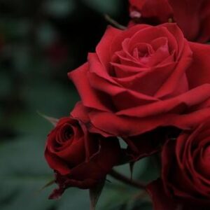 クリスマス会＼(^o^)／