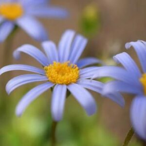 今日のかめら(*^^*)