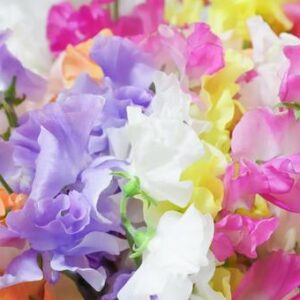 全体集会・大掃除＼(^o^)／