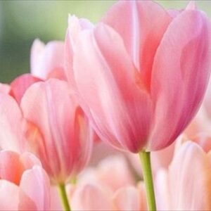 今日のかめら(*^^*)