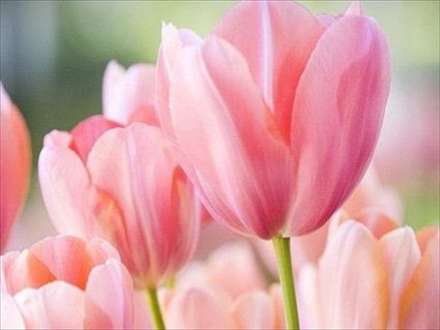 今日のかめら(*^^*)