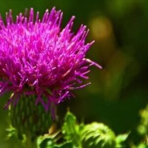 今日のかめら(^^♪