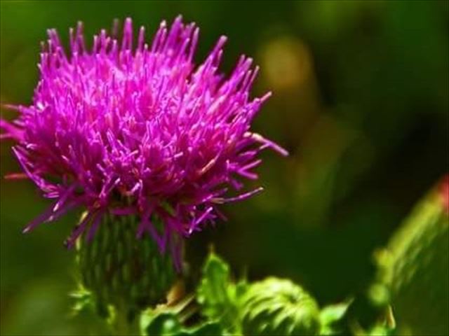 今日のかめら(^^♪