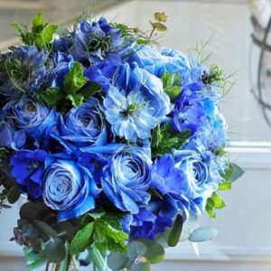 今日のかめら　(*^^*)