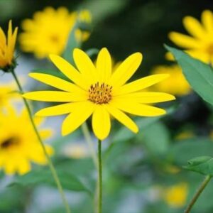 今日のかめら(*^^*)