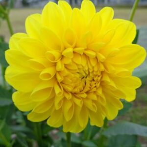 今日のかめら(*^^*)