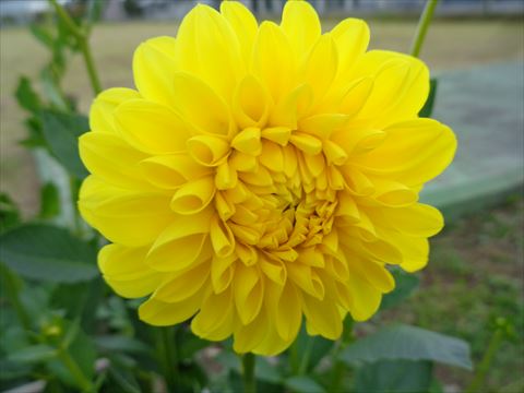 今日のかめら(*^^*)