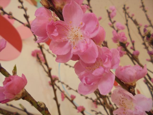 今日のかめら(^^♪