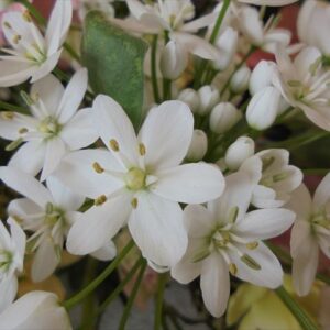 今日のかめら(^^♪