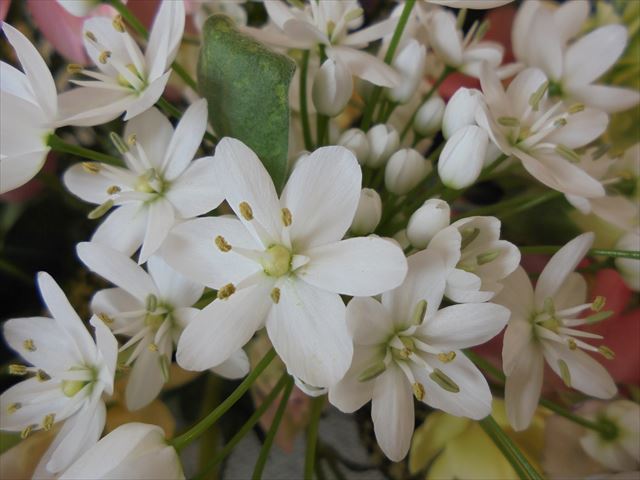 今日のかめら(^^♪