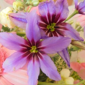 今日のかめら(^^♪