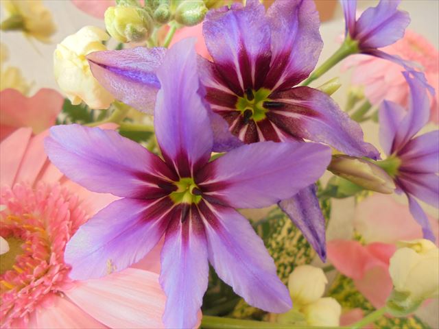 今日のかめら(^^♪