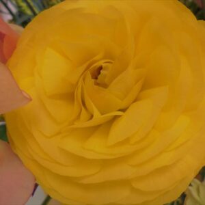 2月生まれのお誕生会