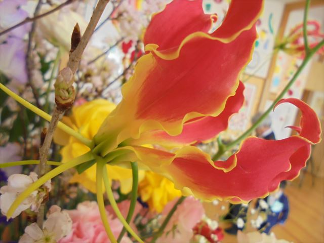 今日のかめら(^^♪