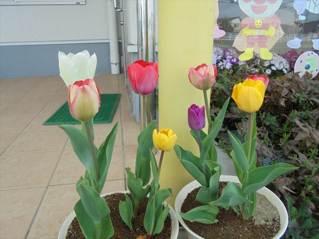 今日のかめら(*^^*)