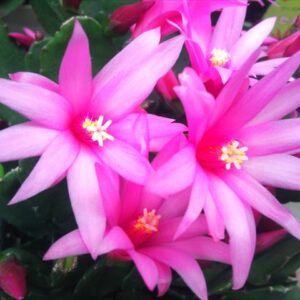 今日のかめら　(*^^*)