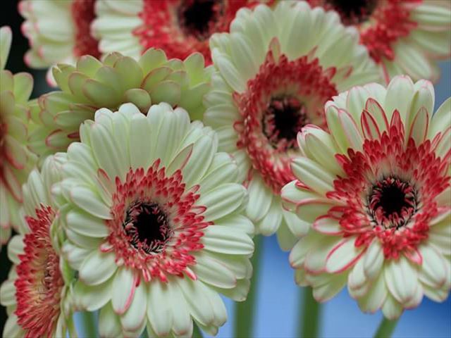 今日のかめら(^^♪