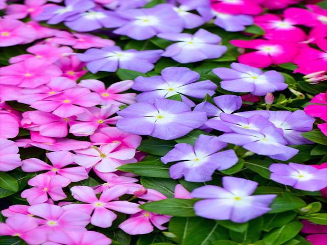 今日のかめら(^^♪