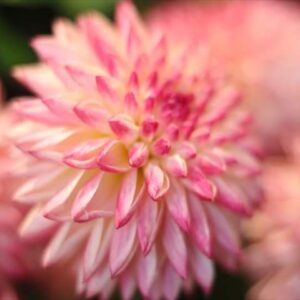 今日のかめら(^^♪