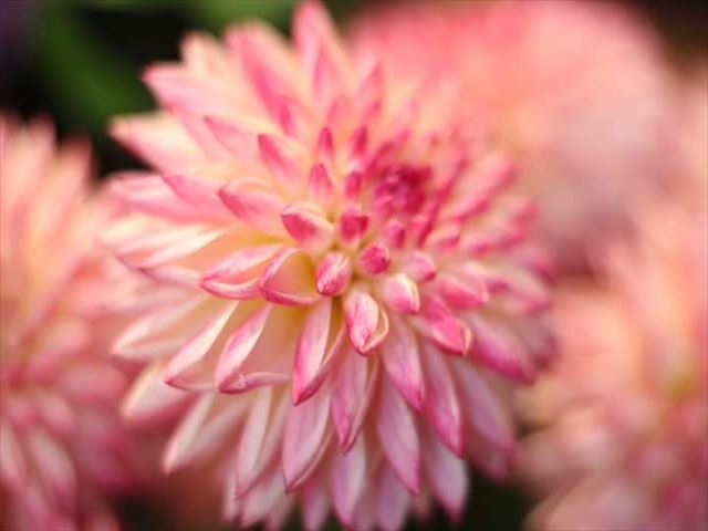 今日のかめら(^^♪