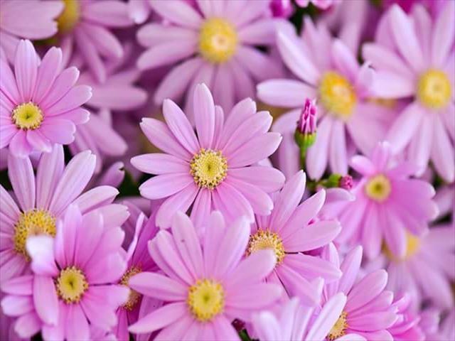 今日のかめら(^^♪