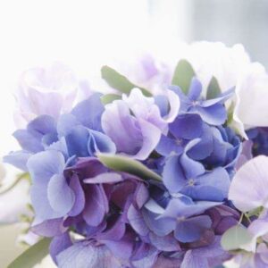 今日のかめら(^^♪