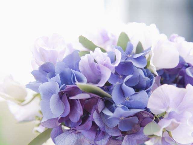 今日のかめら(^^♪