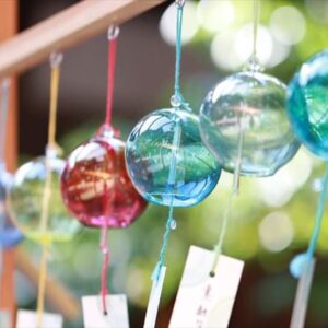 今日のかめら(^^♪