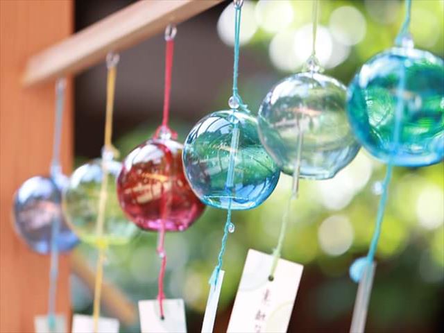 今日のかめら(^^♪