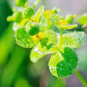 今日のかめら(^^♪