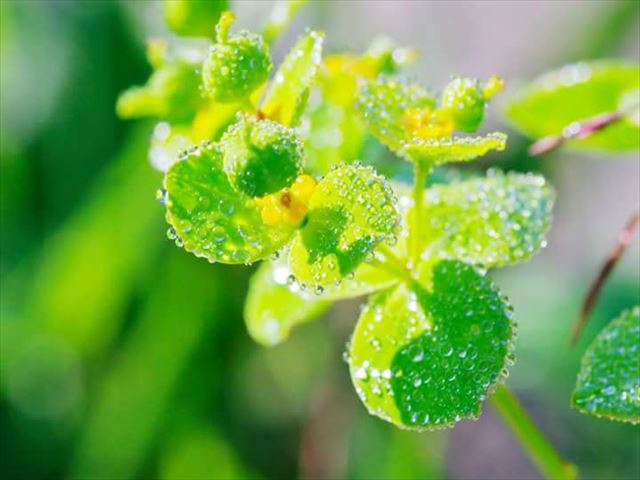 今日のかめら(^^♪