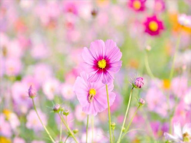 今日のかめら(^^♪