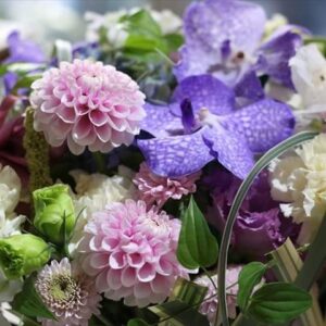 今日のかめら(^^♪